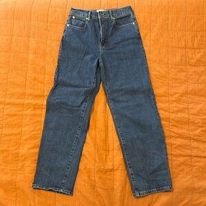 NWOT Everlane Way High Jeans - 27 tall